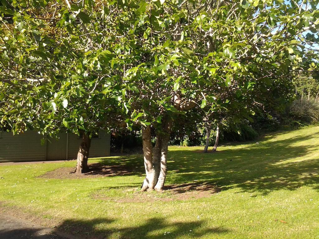 Hikurangi Stayplace Whanganui Exterior photo